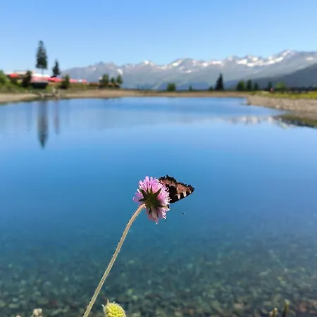 公寓 Dawin By Interhome Strengen