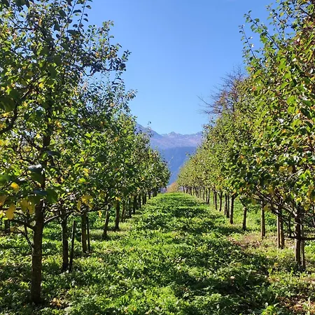 Dawin By Interhome 公寓 Strengen